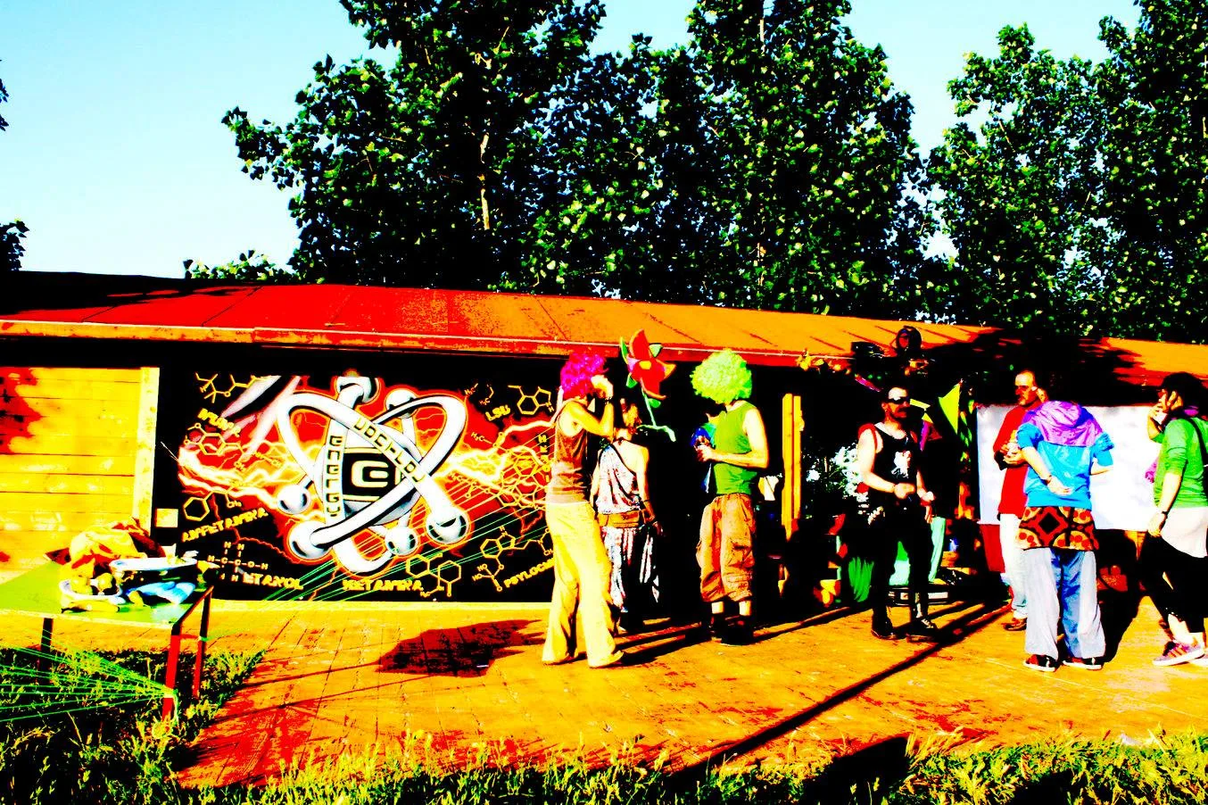 How to go to a festival and not die in the attempt?